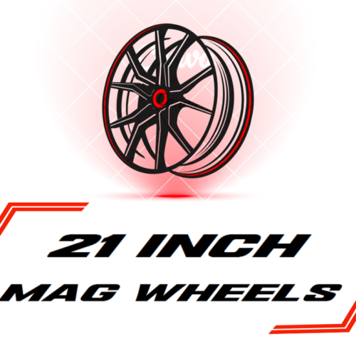 21 INCH MAGS