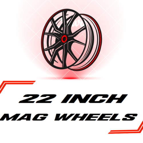 22 INCH MAGS
